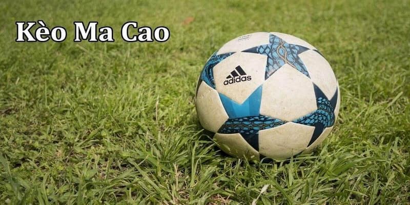 tỷ lệ kèo ma cao Tổng quan về tỷ lệ kèo ma cao