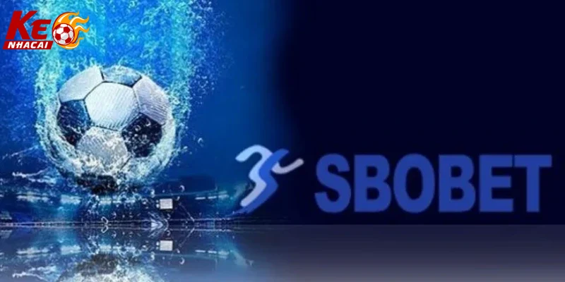 Trải nghiệm thực tế người dùng khi tham gia đặt cược tại SBOBET.